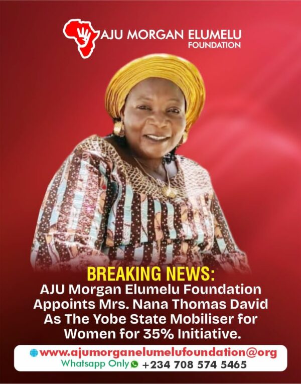Mrs. Nana Thomas David Appointed Yobe State Mobilizer – Women for 35% Initiative